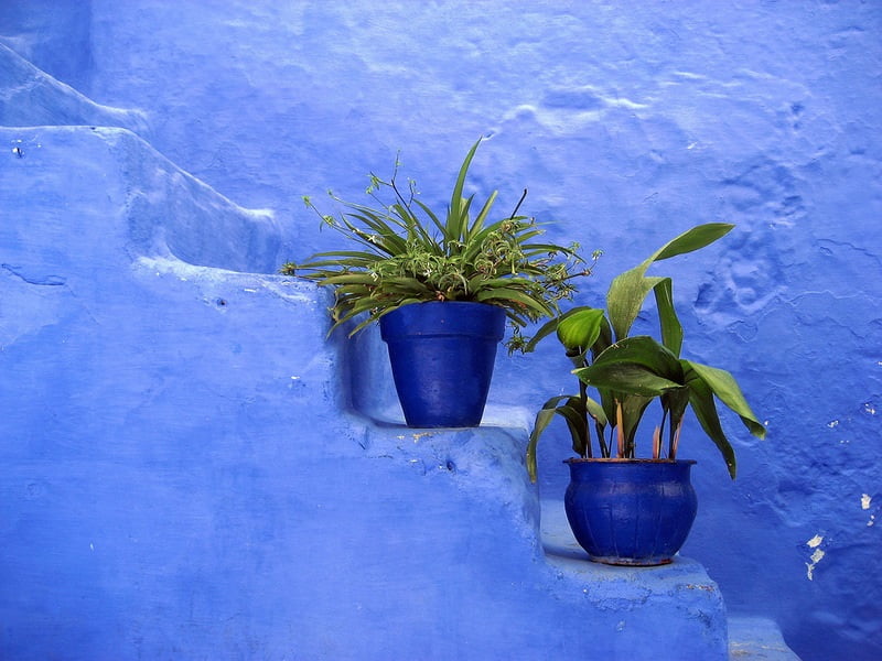 9-Синие горшки на голубых ступеньках в Шефшауэне